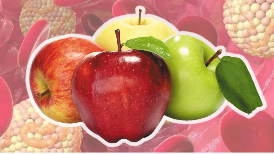 Яблоки поддерживают уровень холестерина.